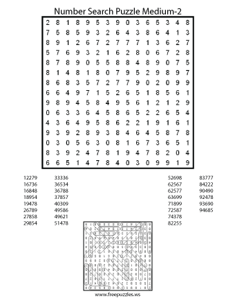 Medium Number Search Puzzle #2