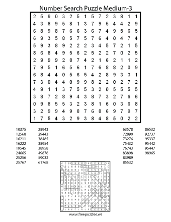 Medium Number Search Puzzle #3