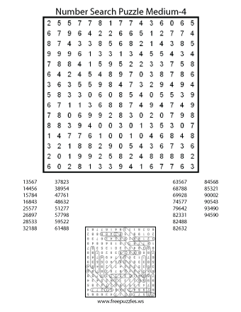Medium Number Search Puzzle #4