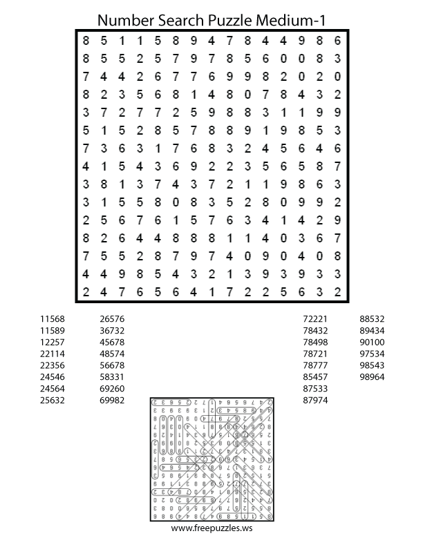 Medium Number Search Puzzle #1