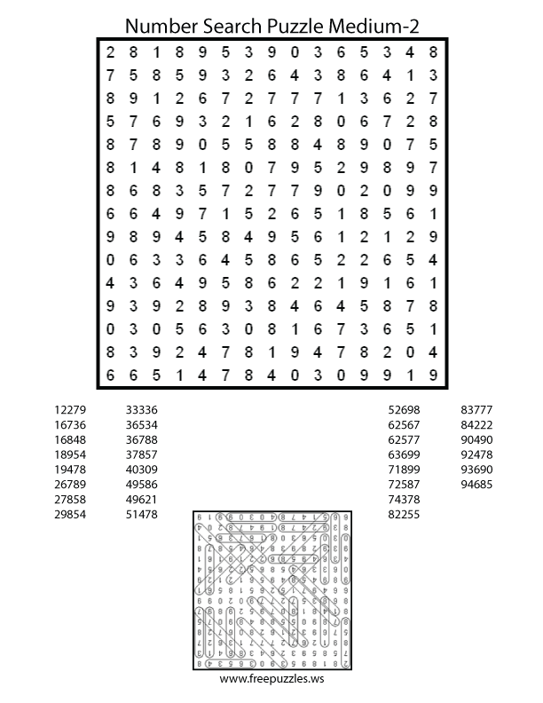 Medium Number Search Puzzle #2