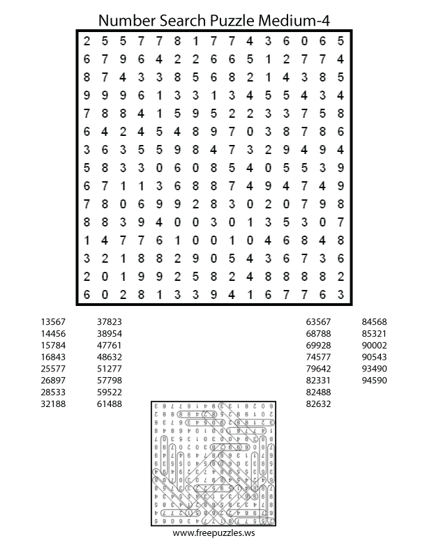 Medium Number Search Puzzle #4