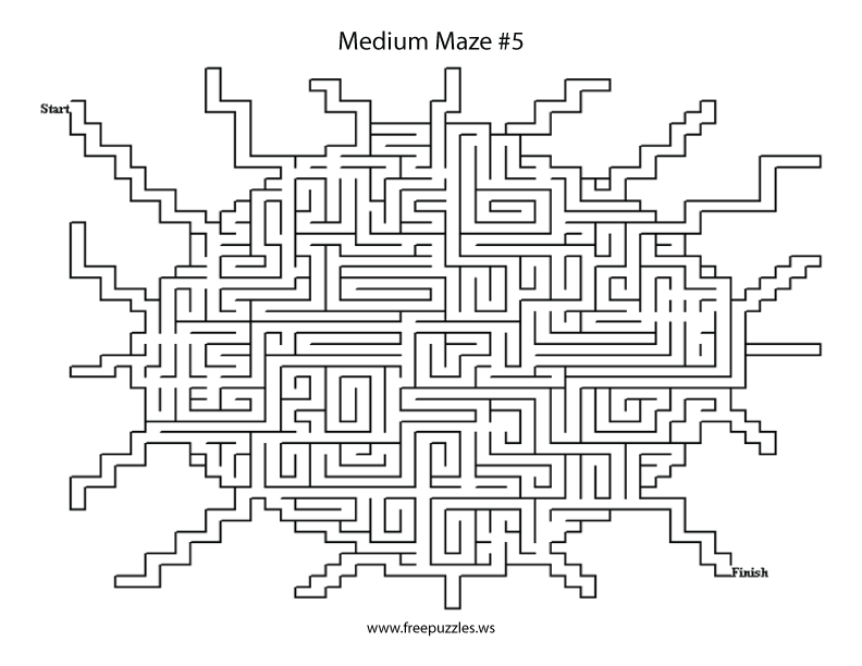 Medium Maze Puzzle #5
