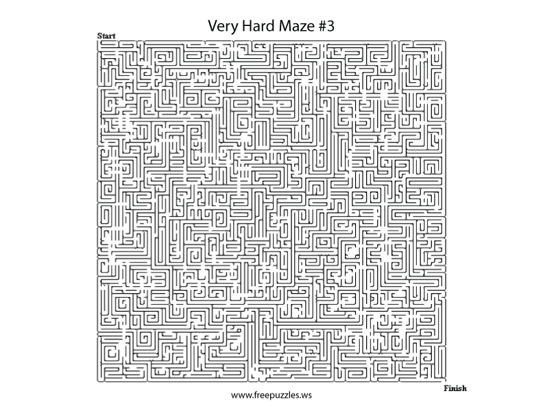 Very Hard Maze Puzzle #3