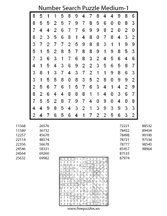 Medium Number Search Puzzle #1