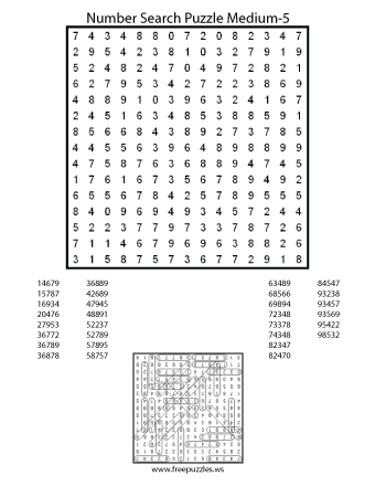 Medium Number Search Puzzle #5