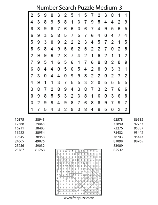 Medium Number Search Puzzle #3