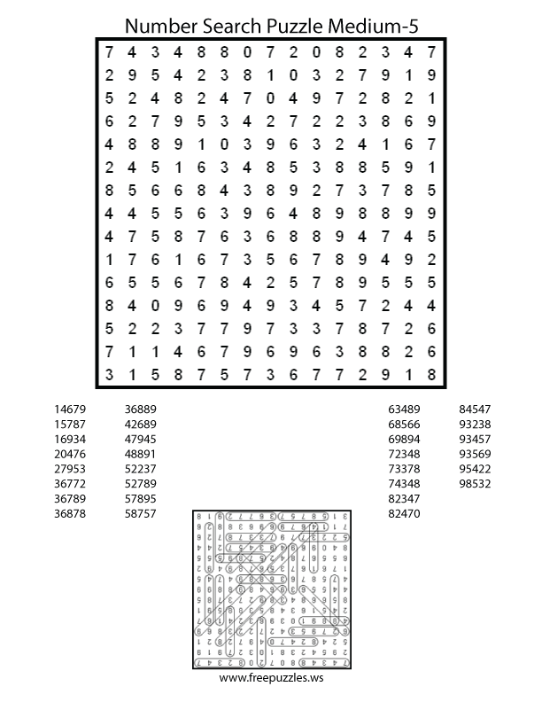 Medium Number Search Puzzle #5