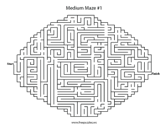 Medium Maze Puzzle #1